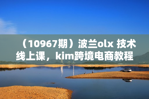（10967期）波兰olx 技术线上课，kim跨境电商教程