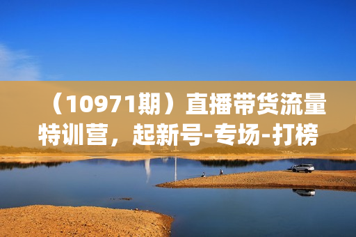 （10971期）直播带货流量特训营，起新号-专场-打榜-明星网红助播 月播千万gmv（52节）