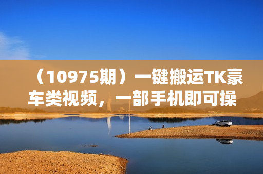 （10975期）一键搬运TK豪车类视频，一部手机即可操作，轻松月入1W+，所有平台均可发布