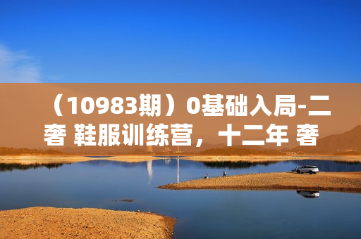 （10983期）0基础入局-二奢 鞋服训练营，十二年 奢侈品 创业导师分享（20节课）