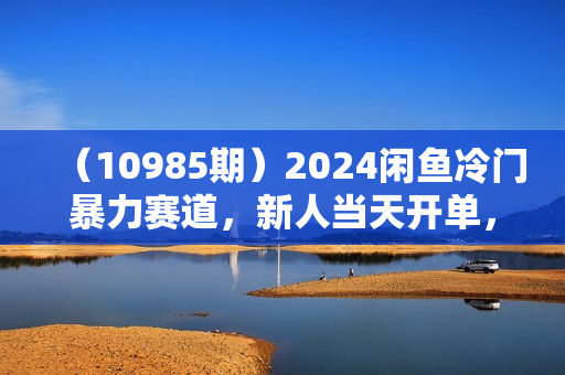 （10985期）2024闲鱼冷门暴力赛道，新人当天开单，利润80%，日入1000+
