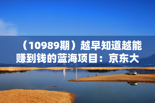 （10989期）越早知道越能赚到钱的蓝海项目：京东大平台操作，一单利润20-30，简单