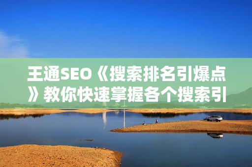 王通SEO《搜索排名引爆点》教你快速掌握各个搜索引擎排名算法