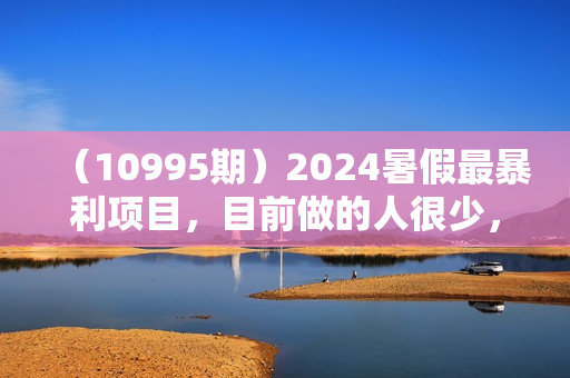 （10995期）2024暑假最暴利项目，目前做的人很少，一单利润300+，二十多分钟可操