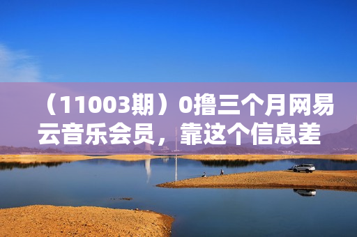 （11003期）0撸三个月网易云音乐会员，靠这个信息差一天赚700，月入2w