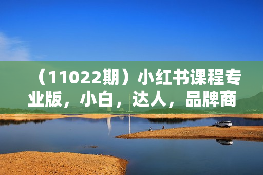 （11022期）小红书课程专业版，小白，达人，品牌商家，小红书电商教程（15节）