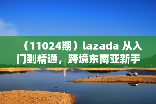 （11024期）lazada 从入门到精通，跨境东南亚新手入门必修（14节课）