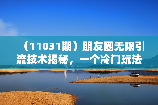 （11031期）朋友圈无限引流技术揭秘，一个冷门玩法日引500+创业粉，让天下没有难搞