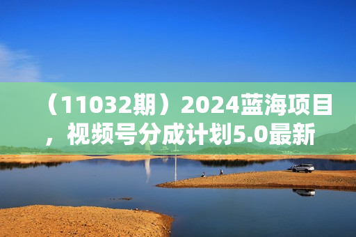 （11032期）2024蓝海项目，视频号分成计划5.0最新玩法，错过了中视频，一定要抓住
