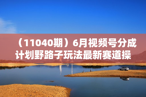 （11040期）6月视频号分成计划野路子玩法最新赛道操作简单，颠公风格玩法清奇，流