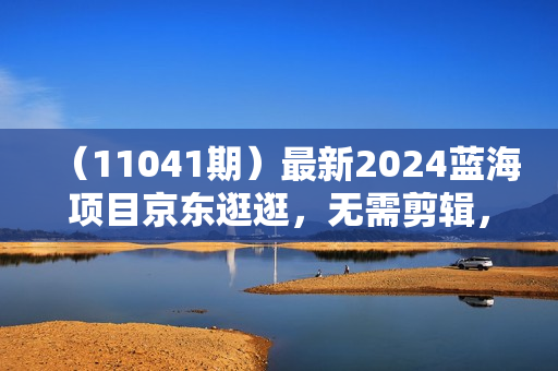 （11041期）最新2024蓝海项目京东逛逛，无需剪辑，每月收入2万+
