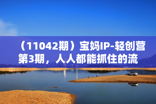 （11042期）宝妈IP-轻创营第3期，人人都能抓住的流量风口（21节课）