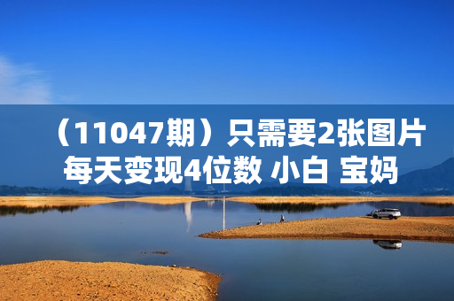 （11047期）只需要2张图片 每天变现4位数 小白 宝妈均可