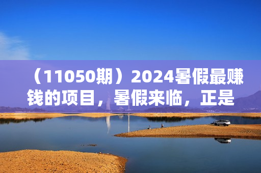 （11050期）2024暑假最赚钱的项目，暑假来临，正是项目利润高爆发时期。市场很大，