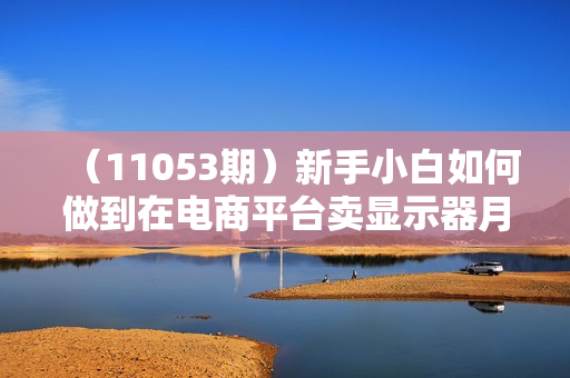 （11053期）新手小白如何做到在电商平台卖显示器月入3W+，最新赚钱教学干货分享