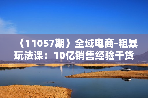 （11057期）全域电商-粗暴玩法课：10亿销售经验干货分享！定位/免费起号/千川投流