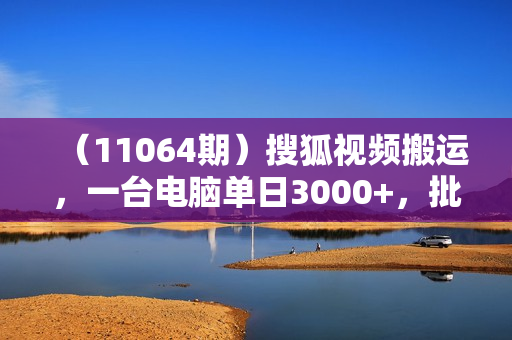 （11064期）搜狐视频搬运，一台电脑单日3000+，批量操作，可无限扩大
