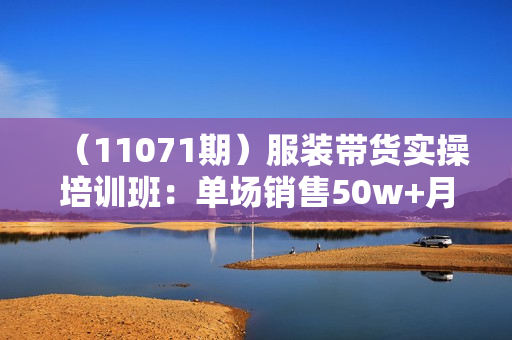（11071期）服装带货实操培训班：单场销售50w+月销3000万实战案例分享（27节）