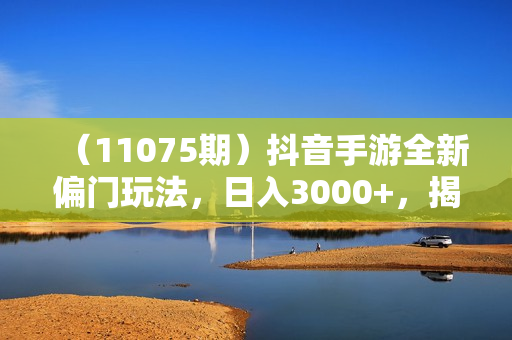 （11075期）抖音手游全新偏门玩法，日入3000+，揭秘大佬玩法