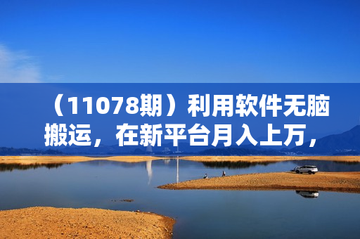 （11078期）利用软件无脑搬运，在新平台月入上万，小白也能快速上手
