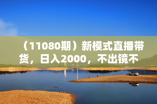 （11080期）新模式直播带货，日入2000，不出镜不露脸，小白轻松上手