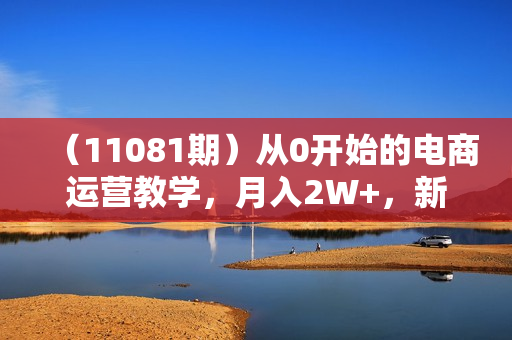 （11081期）从0开始的电商运营教学，月入2W+，新手小白轻松躺赚