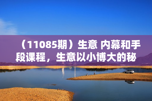 （11085期）生意 内幕和手段课程，生意以小博大的秘密，生意可复制的核心干货-20节