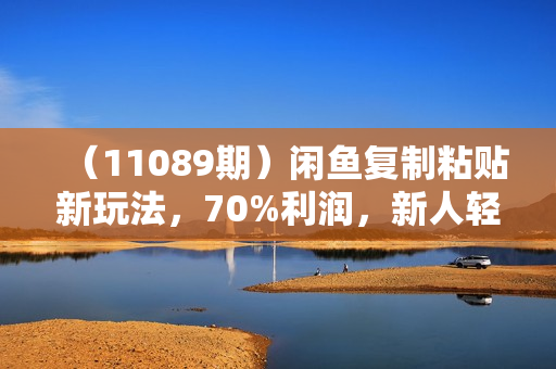 （11089期）闲鱼复制粘贴新玩法，70%利润，新人轻松上手，日入1000+