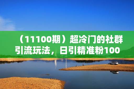 （11100期）超冷门的社群引流玩法，日引精准粉100+，赶紧用！