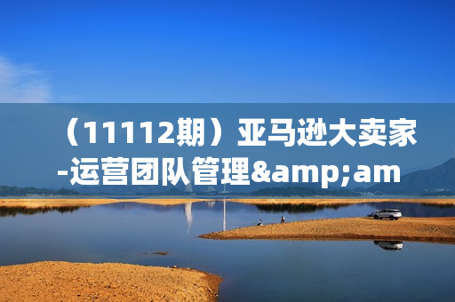 （11112期）亚马逊大卖家-运营团队管理&amp;amp;业务规划，打造超强实力的运营团队