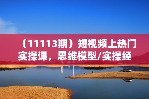（11113期）短视频上热门实操课，思维模型/实操经验/暴力引流/后端变现（11节）