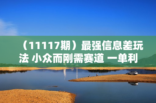 （11117期）最强信息差玩法 小众而刚需赛道 一单利润30+ 日出百单 做就100%挣钱