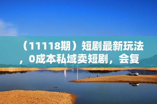 （11118期）短剧最新玩法，0成本私域卖短剧，会复制粘贴即可月入过万，一部手机即