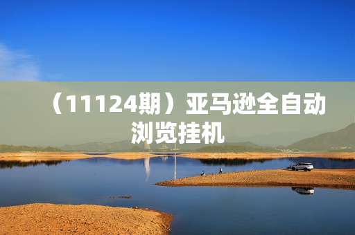 （11124期）亚马逊全自动浏览挂机