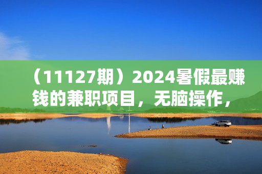 （11127期）2024暑假最赚钱的兼职项目，无脑操作，正是项目利润高爆发时期。一单利