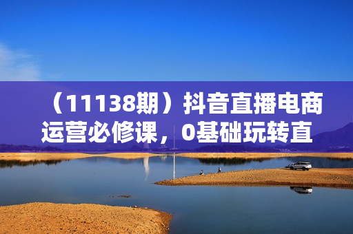 （11138期）抖音直播电商运营必修课，0基础玩转直播间流量，打造爆款（29节）