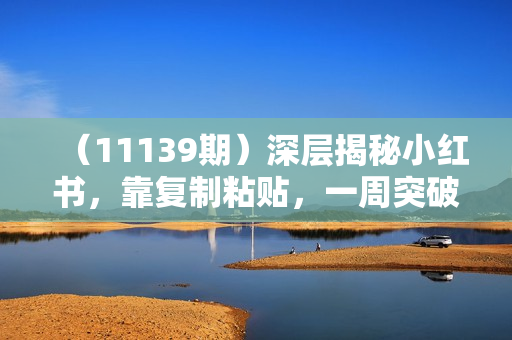 （11139期）深层揭秘小红书，靠复制粘贴，一周突破万级流量池，无脑搬运，暴力引流