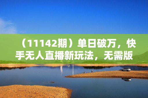 （11142期）单日破万，快手无人直播新玩法，无需版权，支持矩阵操作，48小时不断播