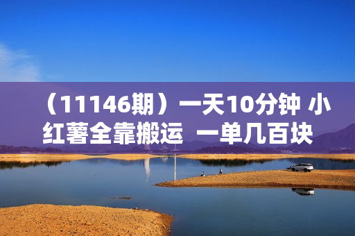（11146期）一天10分钟 小红薯全靠搬运  一单几百块 轻松月入5位数