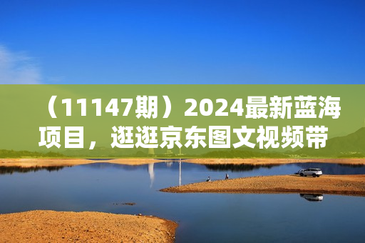 （11147期）2024最新蓝海项目，逛逛京东图文视频带货，无需剪辑，月入20000+