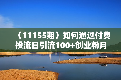 （11155期）如何通过付费投流日引流100+创业粉月变现5W+