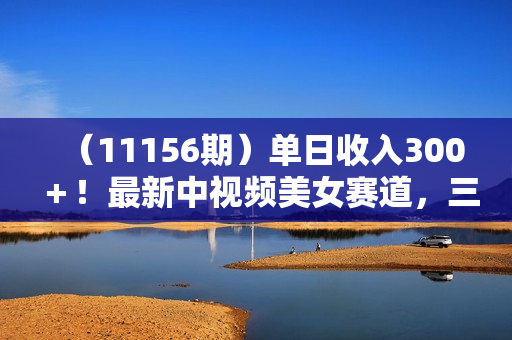 （11156期）单日收入300＋！最新中视频美女赛道，三天必起