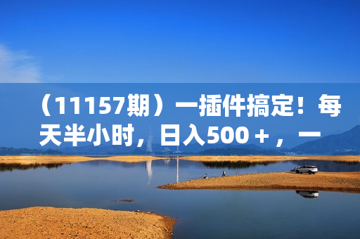 （11157期）一插件搞定！每天半小时，日入500＋，一切以结果为导向，没有结果的事