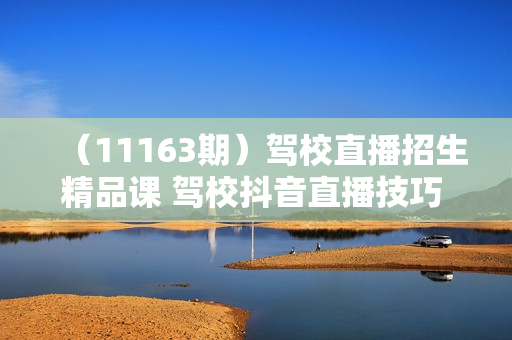 （11163期）驾校直播招生精品课 驾校抖音直播技巧 快速上手（20节课）