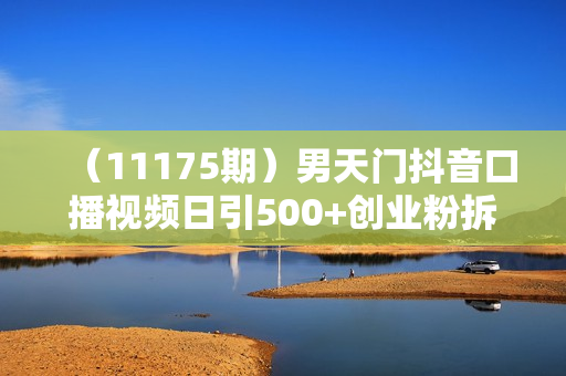 （11175期）男天门抖音口播视频日引500+创业粉拆解教程！含不出镜等多种玩法普通人