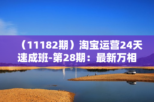 （11182期）淘宝运营24天速成班-第28期：最新万相台无界带免费流量（7节）