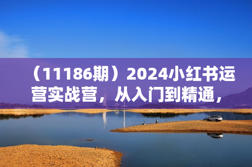 （11186期）2024小红书运营实战营，从入门到精通，完成从0~1~100（50节课）