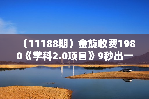 （11188期）金旋收费1980《学科2.0项目》9秒出一个视频，一天成交10个99