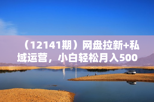 （12141期）网盘拉新+私域运营，小白轻松月入5000+！