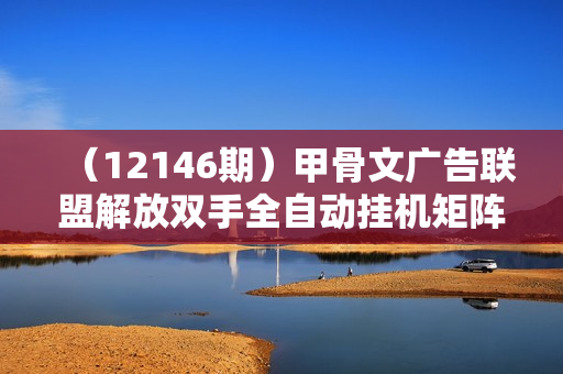 （12146期）甲骨文广告联盟解放双手全自动挂机矩阵每天500+附有管道收益